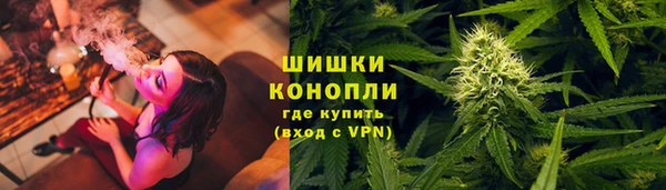 Альфа ПВП Протвино