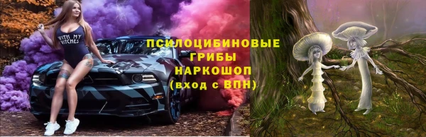 прущие грибы Верея