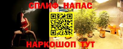 дистиллят марихуана Жуковский