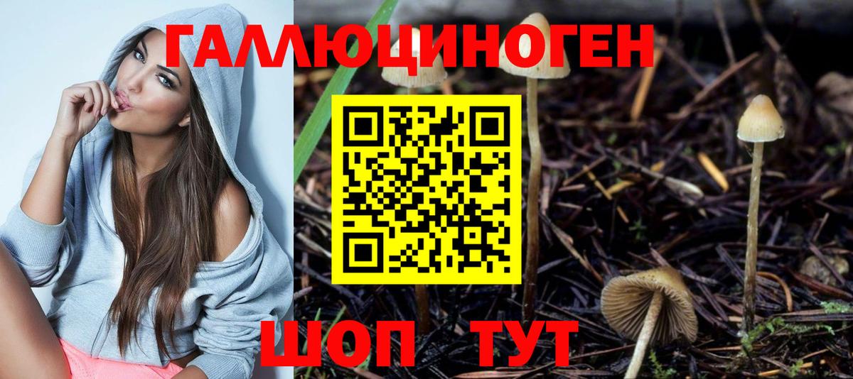 Галлюциногенные грибы MAGIC MUSHROOMS  Вход с VPN  даркнет сайт  Улан-Удэ 