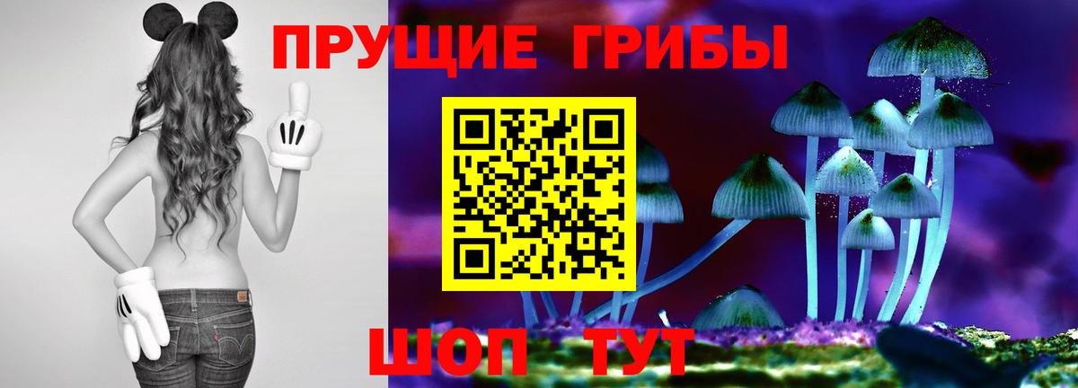 Псилоцибиновые грибы мицелий  где можно купить наркотик  Галлюциногенные грибы прущие грибы  Улан-Удэ 